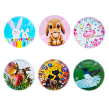 Load image into Gallery viewer, Bunnies, Hummingbird, Cats Easter Theme Fridge Magnets