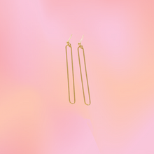 Load image into Gallery viewer, Simple Oval Titanium Earrings