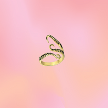 Load image into Gallery viewer, Octopus Titanium Ring