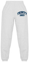 Load image into Gallery viewer, Trinity College Established Sweatpants