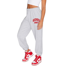 Load image into Gallery viewer, San Diego State Aztecs Established Sweatpants