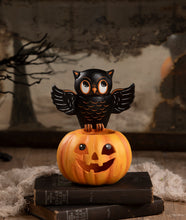 Load image into Gallery viewer, Owl on Jack O'Lantern | Halloween Decor | Bethany Lowe