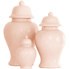 Load image into Gallery viewer, Blush Ginger Jars