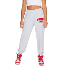 Load image into Gallery viewer, Tampa Spartans Established Sweatpants
