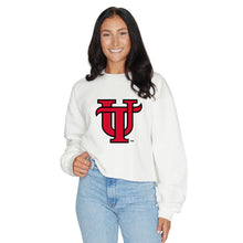 Load image into Gallery viewer, Tampa Spartans Crewneck