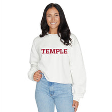 Load image into Gallery viewer, Temple Owls Crewneck