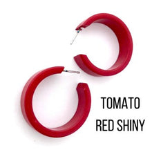 Load image into Gallery viewer, Chandler Hoop Earrings