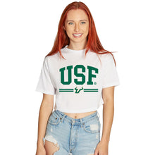 Load image into Gallery viewer, USF Bulls Stripe Tee