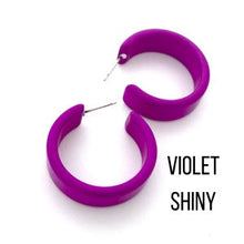 Load image into Gallery viewer, Chandler Hoop Earrings