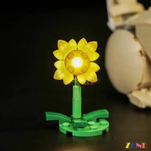 Load image into Gallery viewer, Light Kit for LEGO Cute Bunny #31162