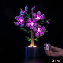 Load image into Gallery viewer, Light Kit for LEGO The Hibiscus #10372