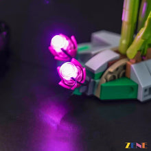 Load image into Gallery viewer, Light Kit for LEGO Wild Animals Panda Family 31165